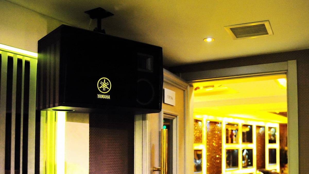 强强北京国际商务酒店——菲彩国际高端KMS-2500音箱的酒店KTV运用