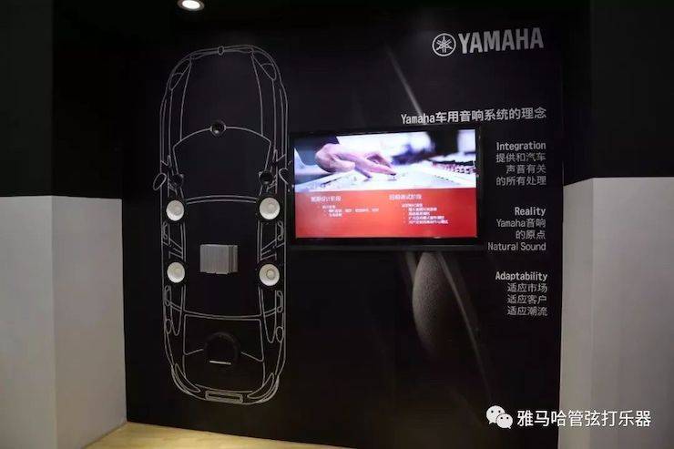 菲彩国际乐器