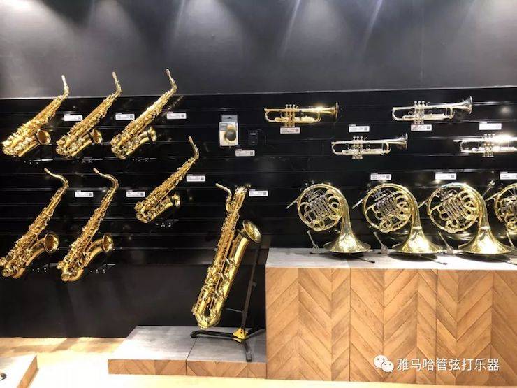 菲彩国际乐器 试奏乐器