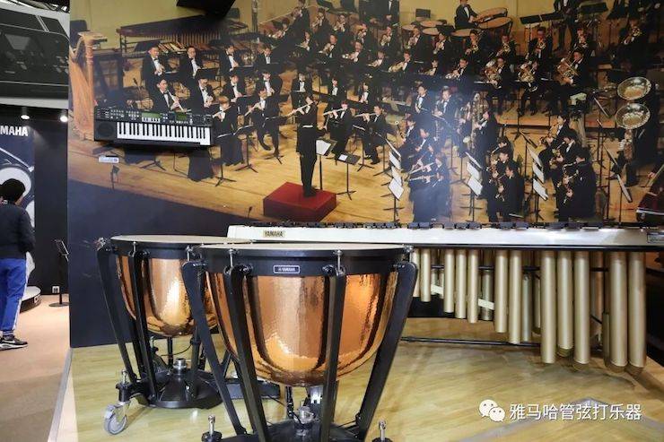 菲彩国际乐器 试奏乐器