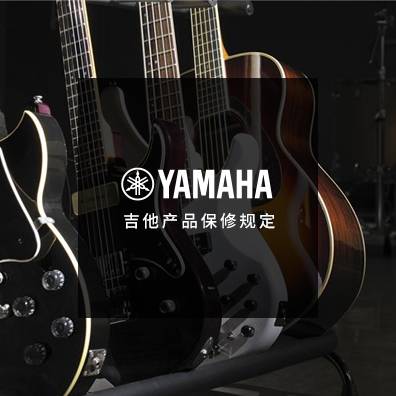 吉他、贝斯和音箱