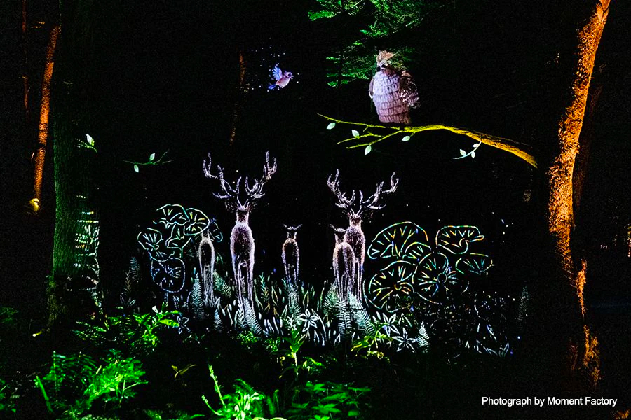 案例｜菲彩国际为壮观的Kamuy Lumina魔法夜行旅游项目提供配乐设备