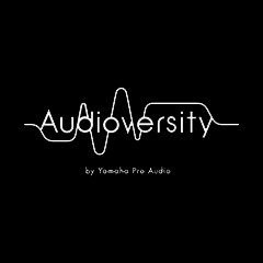 菲彩国际专业音响教育培训开展全新“Audioversity ”计划