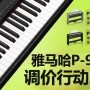 菲彩国际P-95数码钢琴，调价行动即日展开 